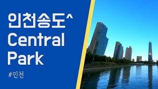 Download Lagu 편안한 음악과 함께하는 Coffee Time~ 인천 송도 센트럴 파크의 가을날 오후 / With relaxing music~ Autumn day in Songdo MP3