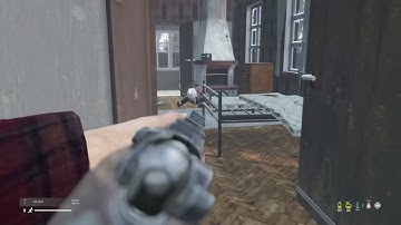 Average DayZ official experience