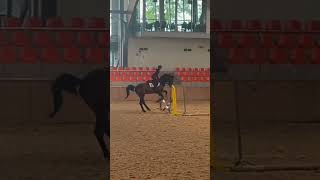 sr że nie byłam akt ostatnio ale byłam w górach na 5 dni #dc #fypシ #viral #horse