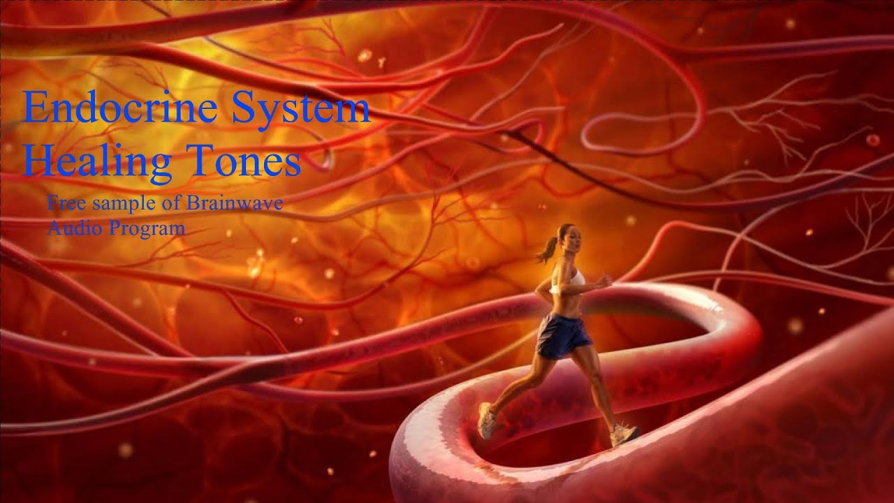 Endocrine System Healing Tones - Free sample of Brainwave Audio Program