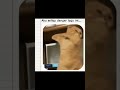 Keinget Sticker ini...❗😭 #shorts #funny #cat #trending #fypシ
