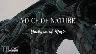Voice of Nature / Acoustic Guitar Folk Background Music (Royalty Free)