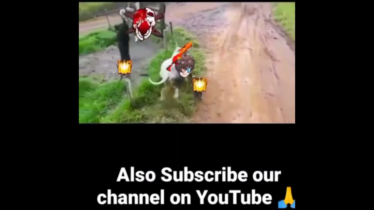 Ruok cow be like 😂😂