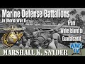 Marine Defense Battalions in World War II From Wake Island to Guadalcanal