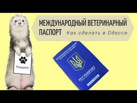 Как сделать международный ветеринарный паспорт в Одессе в Украине