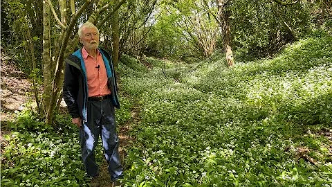 Wild Garlic with John Feehan in May, Wildflowers o...