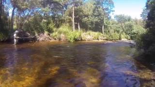 Unique Fishing Tours Tasmania