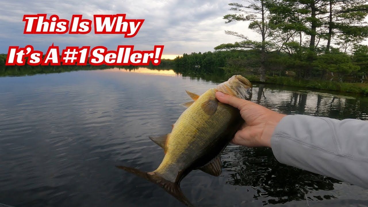 This Is A #1 Seller For A Reason!