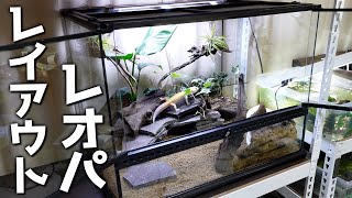 爬虫類達の小さな故郷を作る｜レオパードゲッコー