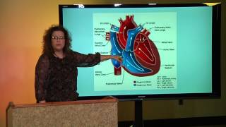 Critical Care Nursing: Basics of EKGs Module 1