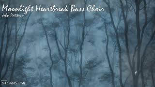 Moonlight Heartbreak Bass Choir - John Patitucci | Free Tunes Today | Copyright Free!