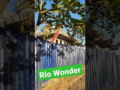 RioWonder e do outro lado Porto Carioca
