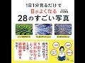 【紹介】1日1分見るだけで目がよくなる28のすごい写真 （林田 康隆）
