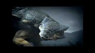 The Last Battle Of The Dinosaurs