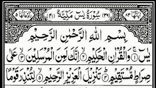 Download Lagu Surah Yasin 3 Times | Sheikh Abdur-Rahman As-Sudais | Mishary Rashid Al-Afasy | Sheikh  Ash-Shuraim MP3 Download Lagu Surah Yasin 3 Times | Sheikh Abdur-Rahman As-Sudais | Mishary Rashid Al-Afasy | Sheikh  Ash-Shuraim MP3