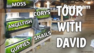 THE FISH BUZZ EPISODE 5