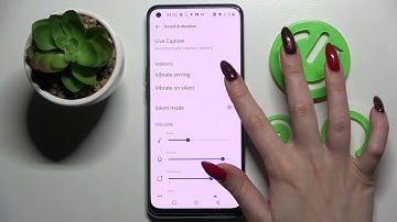 How to Enter Vibration Settings on OnePlus Nord CE 2 – Manage Vibration Settings
