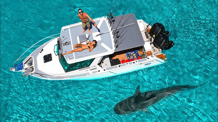 DAY 77 AT SEA: Huge Tiger Shark at Remote Island