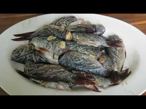 วีดีโอ: วิธีการหมักปลา