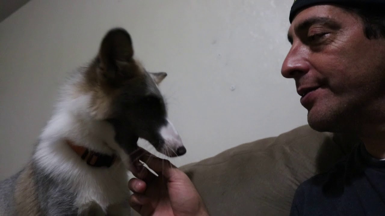 TYR getting pettinz - Part 1 tyrone jose gonzales orama