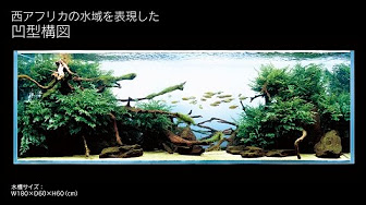 アクアリウム 化粧砂 レイアウトまとめ Youtube