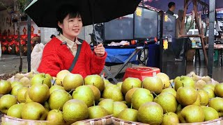 The girl went to town at 5: 00 a.m. to sell vegetables. She sold more than 50 catties of pears in o