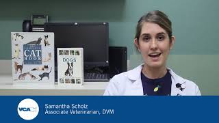 Dr. Samantha Scholz