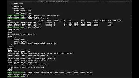 Nutanix Intern Project - Native CNI Demo, Summer 2020