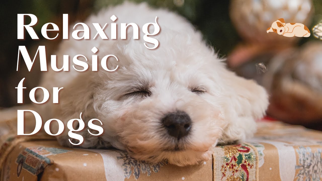 3. ショルダーウェルポイント