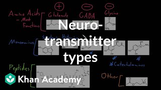 Types of neurotransmitters | Nervous system physiology | NCLEXRN | Khan Academy