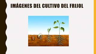 Trabajo Grupal Coordinadora Helen Velasquez