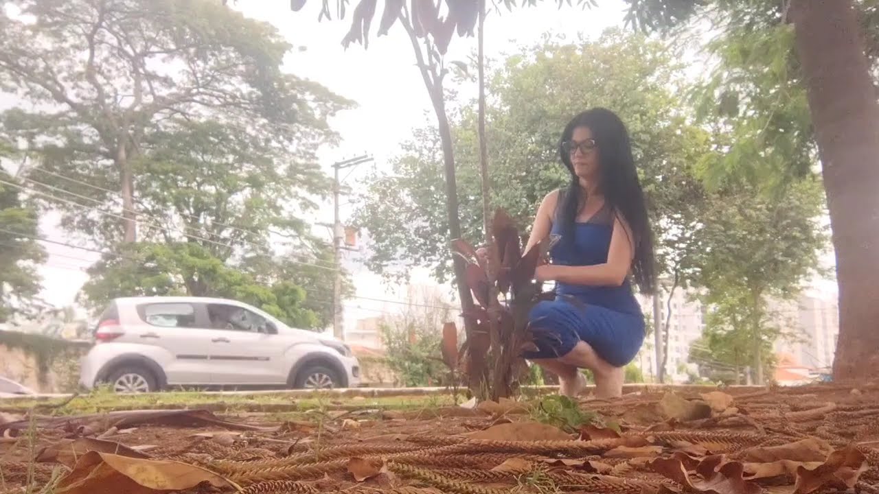 Natural plants, a cloudy day with a cold wind.