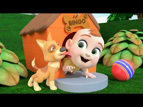 Bingo Song! Meet the Little Puppy | Nursery Rhymes & Kids Songs