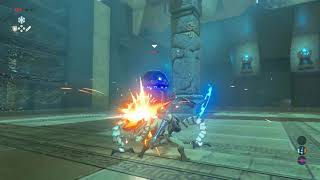 Typical Breath Of The Wild Encounter