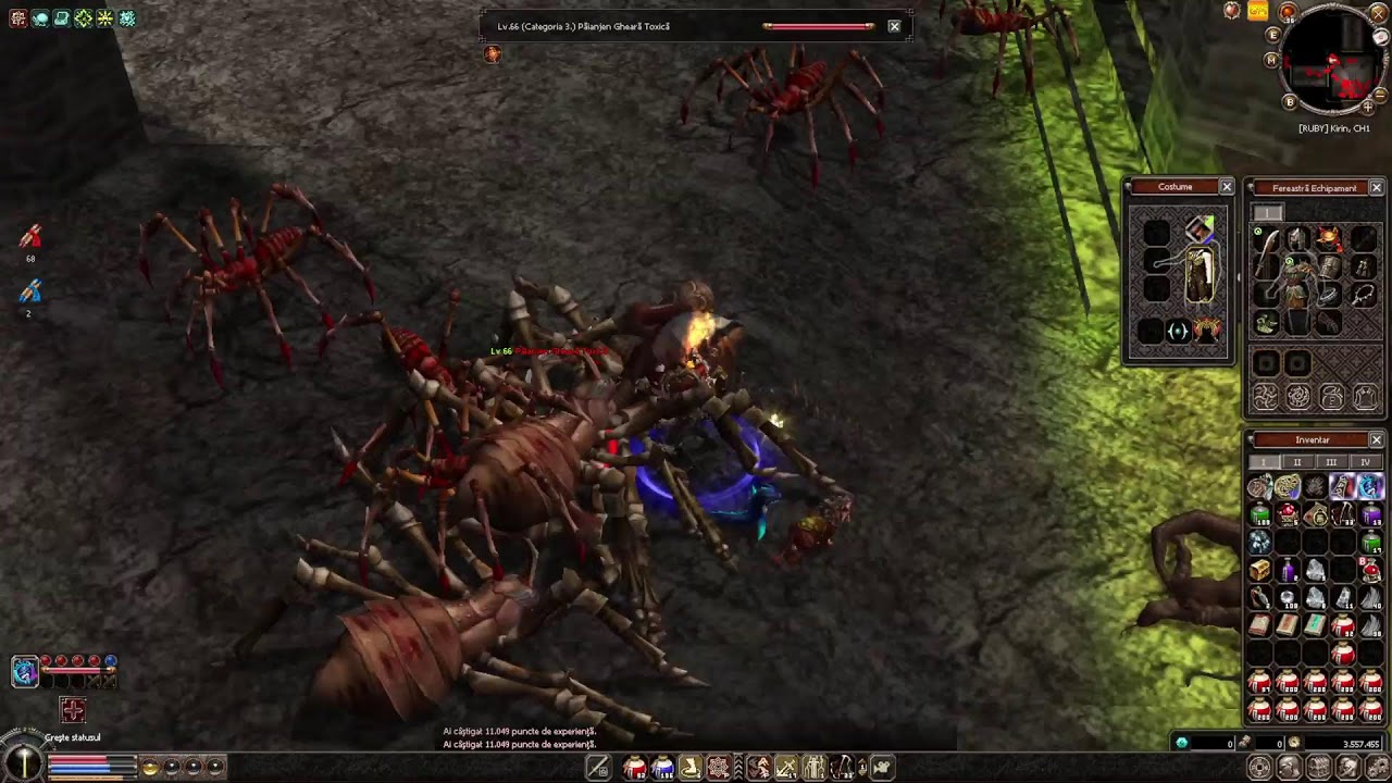 Metin2 ro batem la cioburi Nemere si Razador