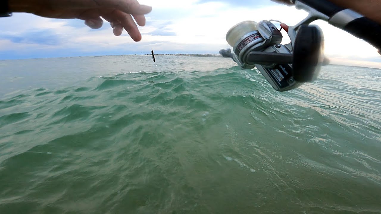 Fishing After Work - COCKTAIL BLUEFISH - Popping Long Island Surf for