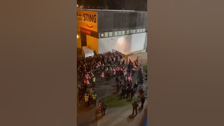 Czech Republic 🇨🇿 - Georgia 🇬🇪 19.11.2024