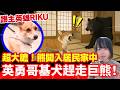 【日本熊患不斷】熊大膽撞門入屋、英勇柯基犬吠過不停成功趕走熊！熊知識何時要還擊？何時要扮死？日本新聞報導 #熊出沒 #廣東話 #日本新聞 #突發 #廣東話 #粵語 #日本 #柴犬 #哥基 #柯基犬