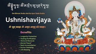 Ushnishavijaya Mantra | Long Life, Healing \u0026 Protection | Namgyalma | Buddhist | Motivara Lotus