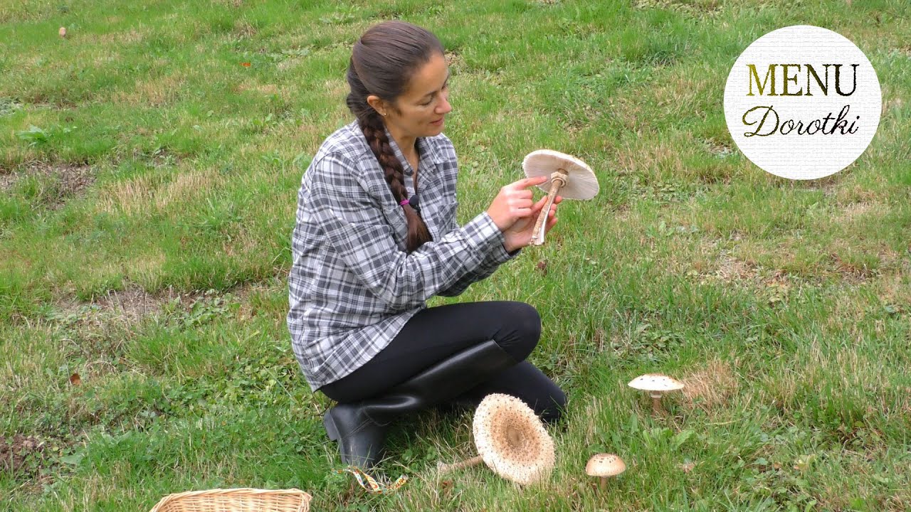 Kotlety z kani. Jak rozpoznać kanie. Kanie smażone jak schabowe w 4 różnych panierkach. MENU Dorotki