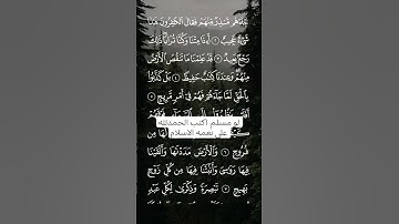 تلاوه خاشعه للشيخ ياسر الدوسري #القرآن_الكريم #تلاوة_خاشعة #لااله_الا_انت_سبحانك_اني_كنت_من_ظالمين