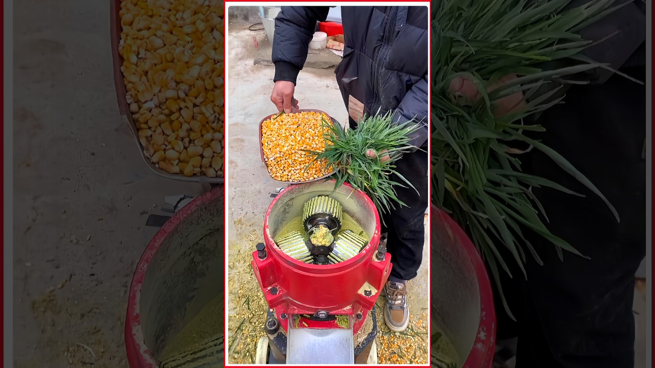 পশু পাখির রেডিমেট খাবার তৈরি করা মেশিন | Poultry ready feed making machine 