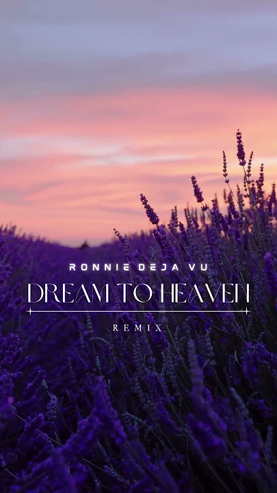 DREAM TO HEAVEN 2025 - Breakbeat House Music (Funkot)