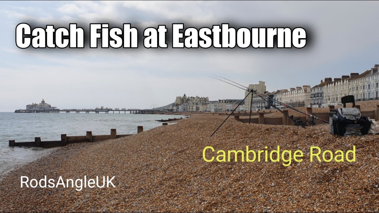 Catch Fish at Eastbourne CAMBRIDGE ROAD YouTube