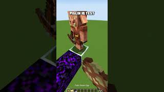 Piglin IQ Test 🥀 #minecraft