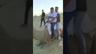 Geel Ayeey Fuuleen Maxase Ka Raacay??