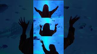 Aquarium Virtual || Healing guru di sela-sela bikin bahan ajar