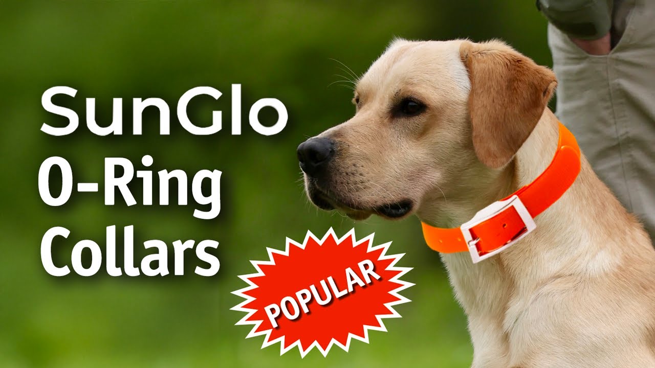 Why We Recommend SunGlo O-Ring Collars