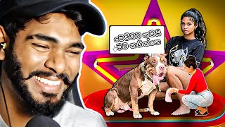 වාසනාවන්ත බල්ලො ඉතින් !