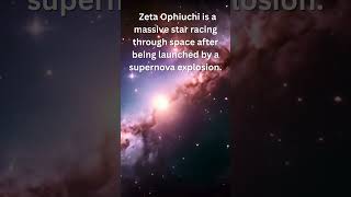 A Star Fleeing the Milky Way - 2